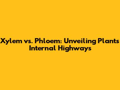 Xylem vs. Phloem: Unveiling Plant's Internal Highways