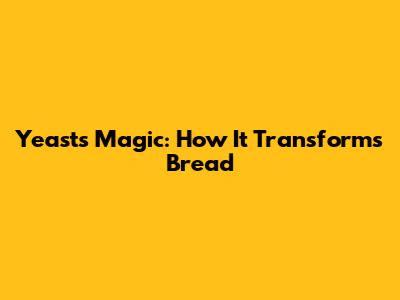 Yeast's Magic: How It Transforms Bread