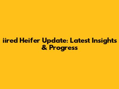 iired Heifer Update: Latest Insights & Progress