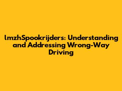 lmzhSpookrijders: Understanding and Addressing Wrong-Way Driving